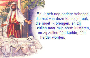 'andere schapen'